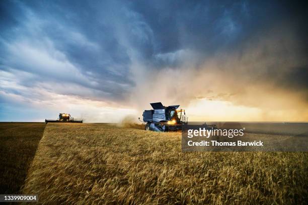 wide shot of combines harvesting wheat with storm clouds in background during harvest on summer evening - agriculture photos et images de collection