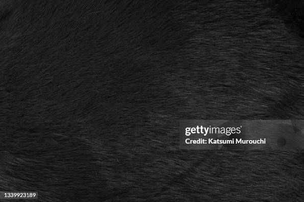black colored animal fur texture background - animal hair stock pictures, royalty-free photos & images
