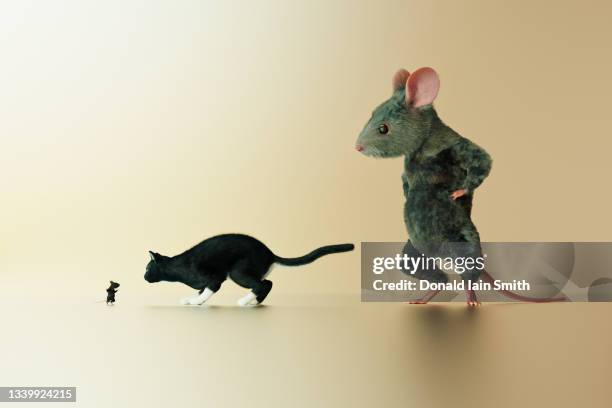 cat and mouse fantasy - oversized object stock pictures, royalty-free photos & images