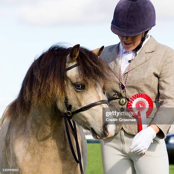 winner! young rider and her pony celebrate winning 1st prize. - pony stock pictures, royalty-free photos & images