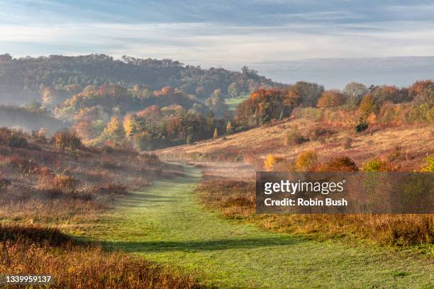 chiltern hills autumn colours, grangelands, buckinghamshire, england - hügelkette chiltern hills stock-fotos und bilder