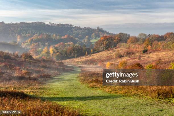 chiltern hills autumn colours, grangelands, buckinghamshire, england - buckinghamshire imagens e fotografias de stock