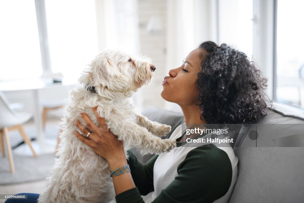 Portrait of happy mature woman sitting indoors at home, playing with dog.