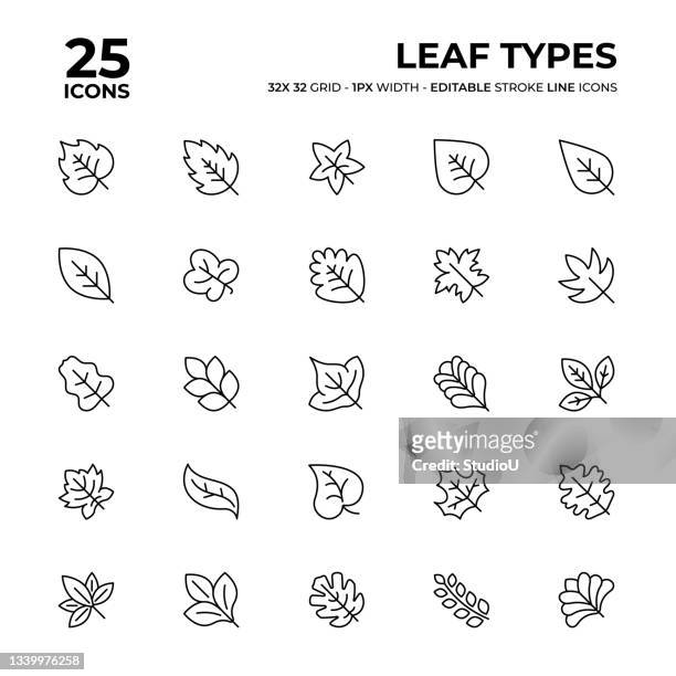 blatttypen liniensymbolsatz - leafs stock-grafiken, -clipart, -cartoons und -symbole