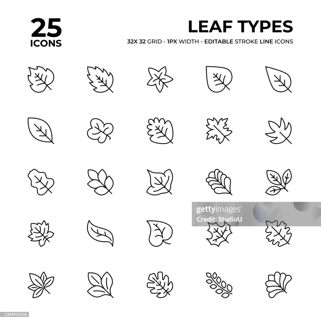 Leaf Types Line Icon Set