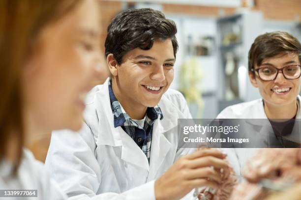 confident male student learning human brain in anatomy class - medizinstudent stock-fotos und bilder