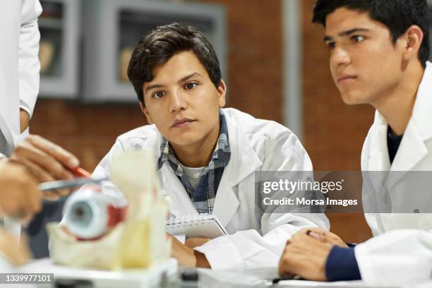 students studying over animal anatomical model - organe de reproduction masculin imagens e fotografias de stock