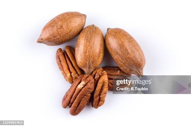 few pecan nuts isolated on white background - pacana fotografías e imágenes de stock