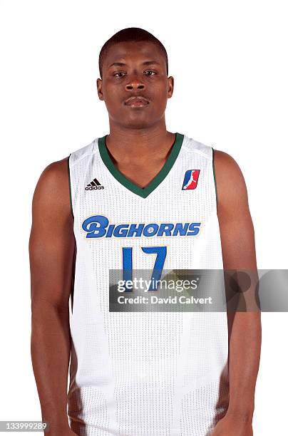 Chris Matthews of the Reno Bighorns poses for a photo during media day at the Reno Events Center on November 19, 2011 in Reno, Nevada. NOTE TO USER:...