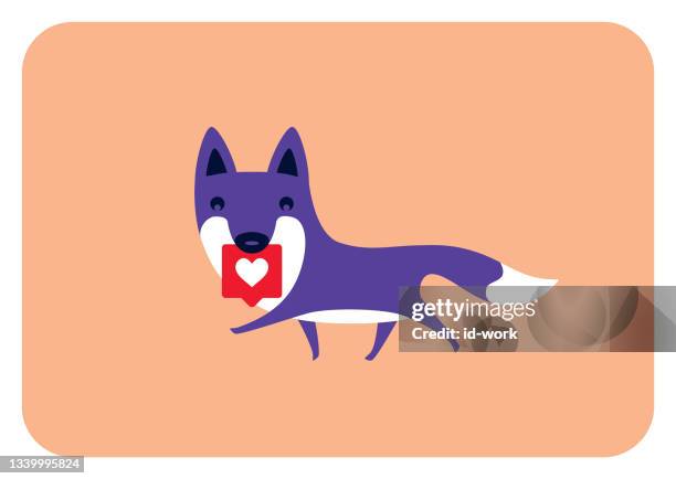 ilustrações, clipart, desenhos animados e ícones de raposa segurando como ícone - animal heart