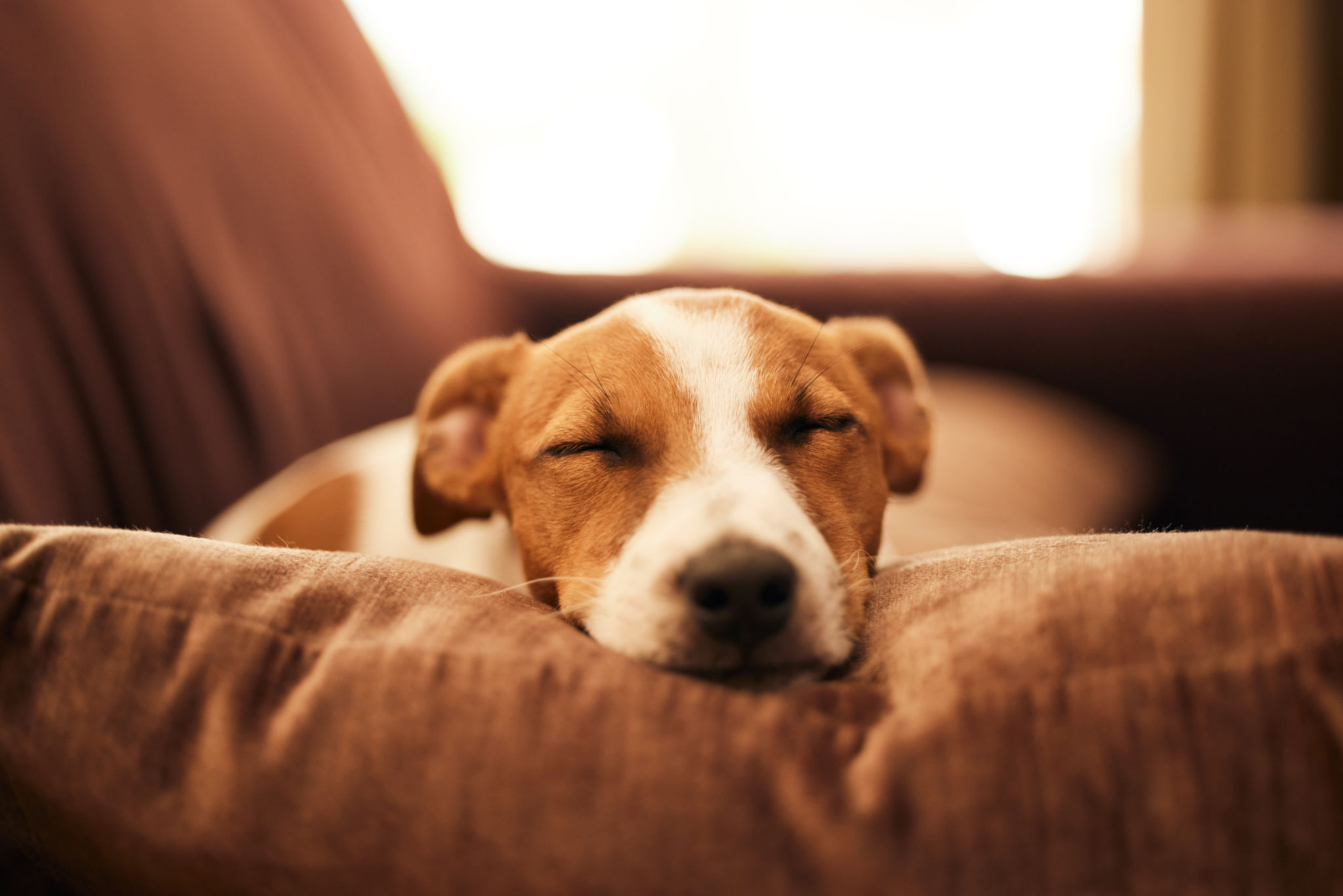 sofa material