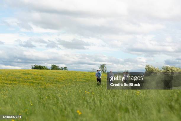 walk along the field - british culture walking stock pictures, royalty-free photos & images