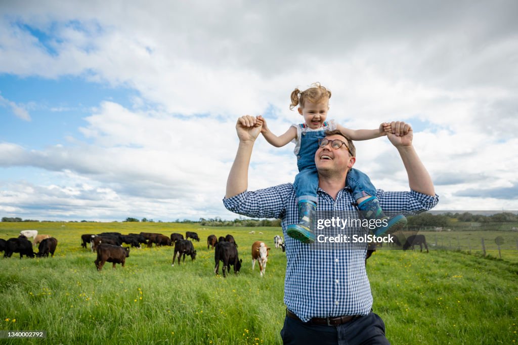 Visiting Daddy's Farm!