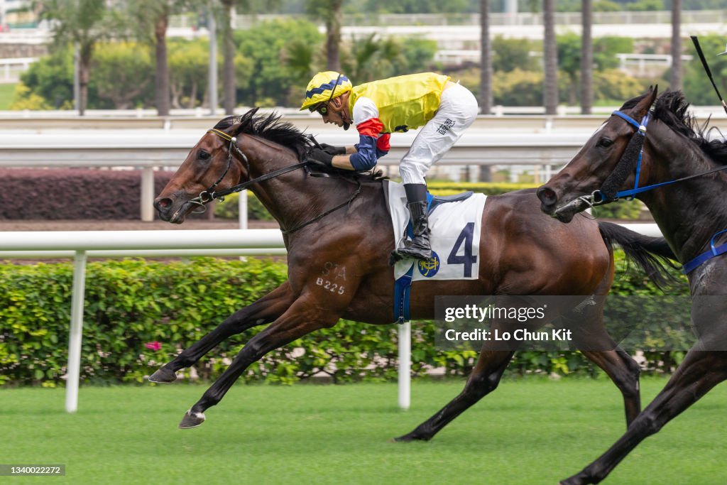 Horse Racing in Hong Kong - Sha Tin Racecourse