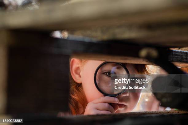 peeping through - child magnifying glass imagens e fotografias de stock