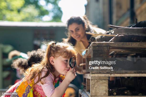 exploring the bug hotel - bug hotel stock pictures, royalty-free photos & images