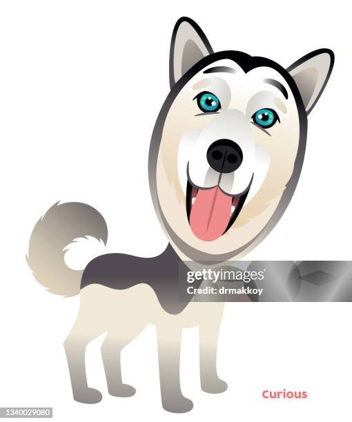 dog - alaskan malamute stock illustrations