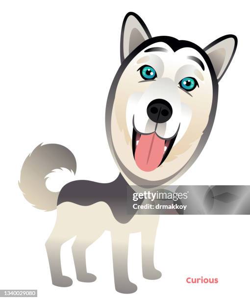 dog - malamute stock illustrations