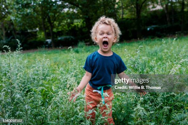 young boy shouting wile playing in grass - toddler stock-fotos und bilder