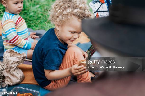 grandfather giving grandson sandwich at family picnic - sandwich generation stock pictures, royalty-free photos & images