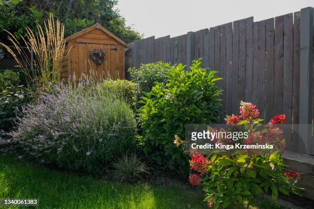 garden arrangement - perennial stock-fotos und bilder