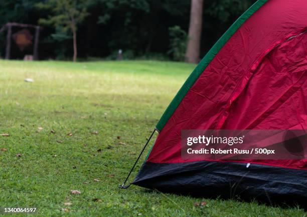 close-up of red tent on field - development camp stock pictures, royalty-free photos & images