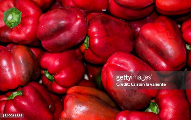 top view of red peppers, food backgrounds - bell pepper stock pictures, royalty-free photos & images