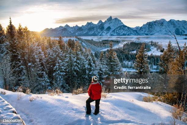 woman hiking in the snow in grand teton national park - teton range stock pictures, royalty-free photos & images