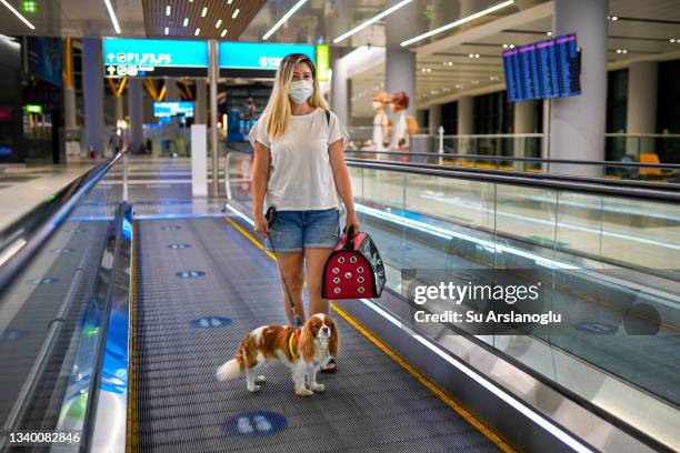 young woman in a protective mask at the airport with her dog and her carry-on bag heading towards their flight - emotional support animal stock pictures, royalty-free photos & images