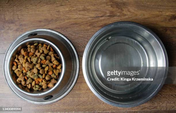 dog bowls - dog bowl fotografías e imágenes de stock
