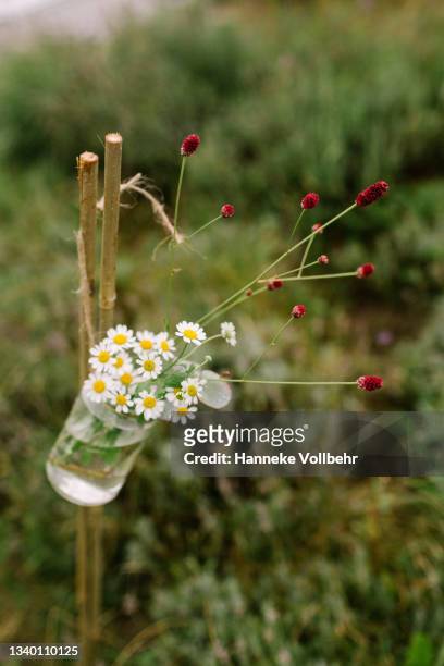 mason jar with small flower bouquet with daisies - ヒナギク ストックフォトと画像