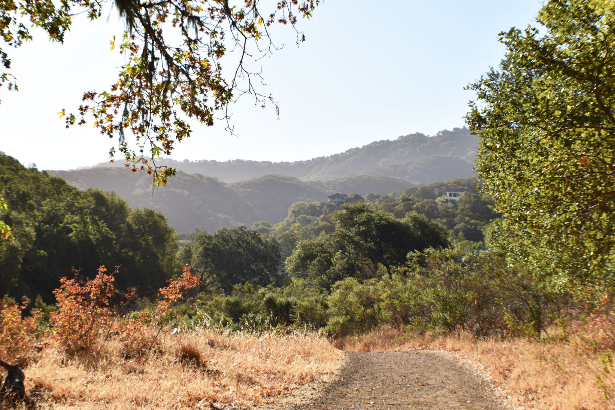 oak glen venue