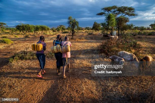 african children carrying water from the well, kenya, east africa - native african girls 個照片及圖片檔