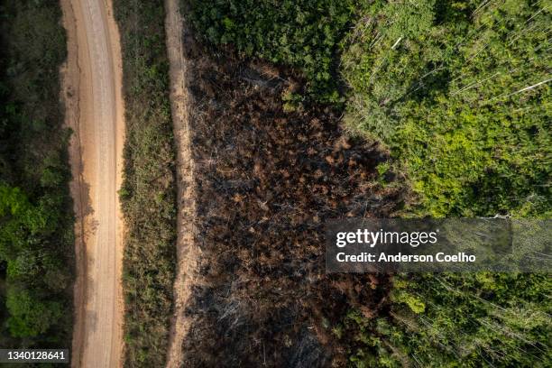 deforestation and burning on rural properties in the amazon forest - ontbossing stockfoto's en -beelden