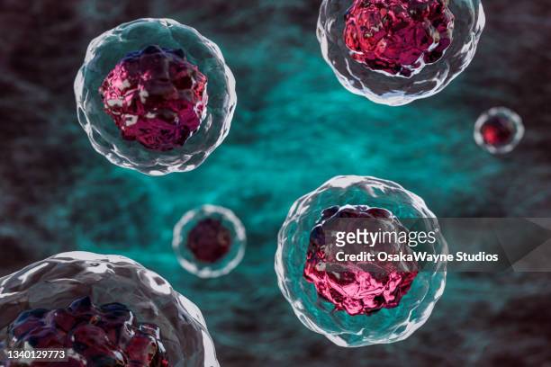 magnified body's raw materials, stem cells - stamcel stockfoto's en -beelden