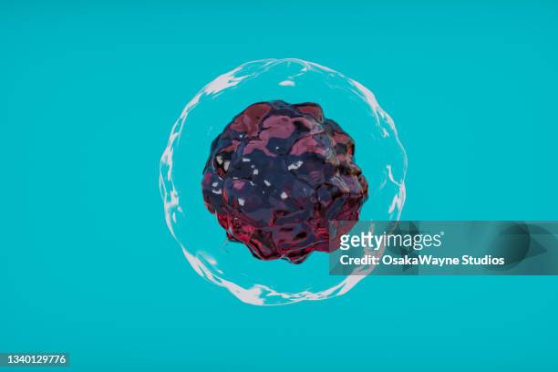 model of stem cell on cyan background - stem cell therapy stock pictures, royalty-free photos & images
