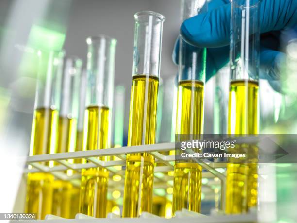 oil samples being developed for medicine and chemicals - chemical products stock-fotos und bilder