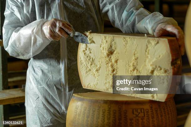 cheese dairy master cutting a parmesan cheese wheel at the dairy - parmigiano foto e immagini stock