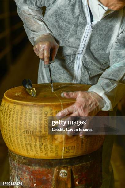 cheese dairy master cutting a parmesan cheese wheel at the dairy - parmigiano reggiano stock pictures, royalty-free photos & images