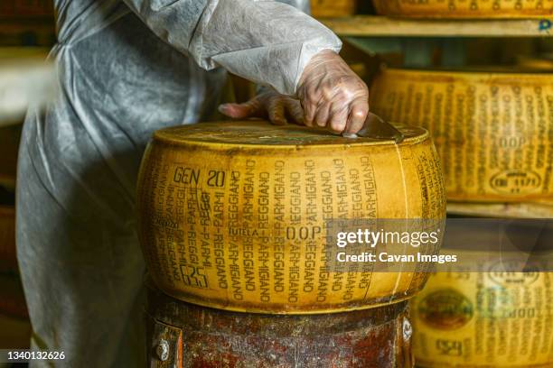 cheese dairy master cutting a parmesan cheese wheel at the dairy - queso en forma redonda fotografías e imágenes de stock