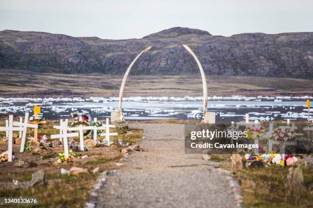 ancestral cemetery with whale bones, iqaluit, baffin island. - whale isolated stock pictures, royalty-free photos & images