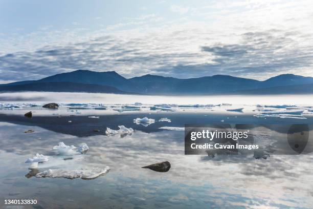 icebergs floating in the arctic ocean with mountain view. - ice shelf stock pictures, royalty-free photos & images