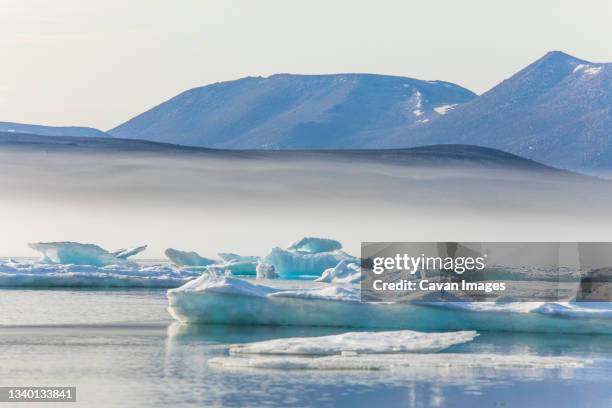 icebergs and rugged mountains, baffin island, canada. - nunavut canadian arctic stock pictures, royalty-free photos & images