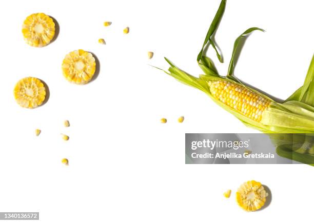 fresh corn. - maïs photos et images de collection