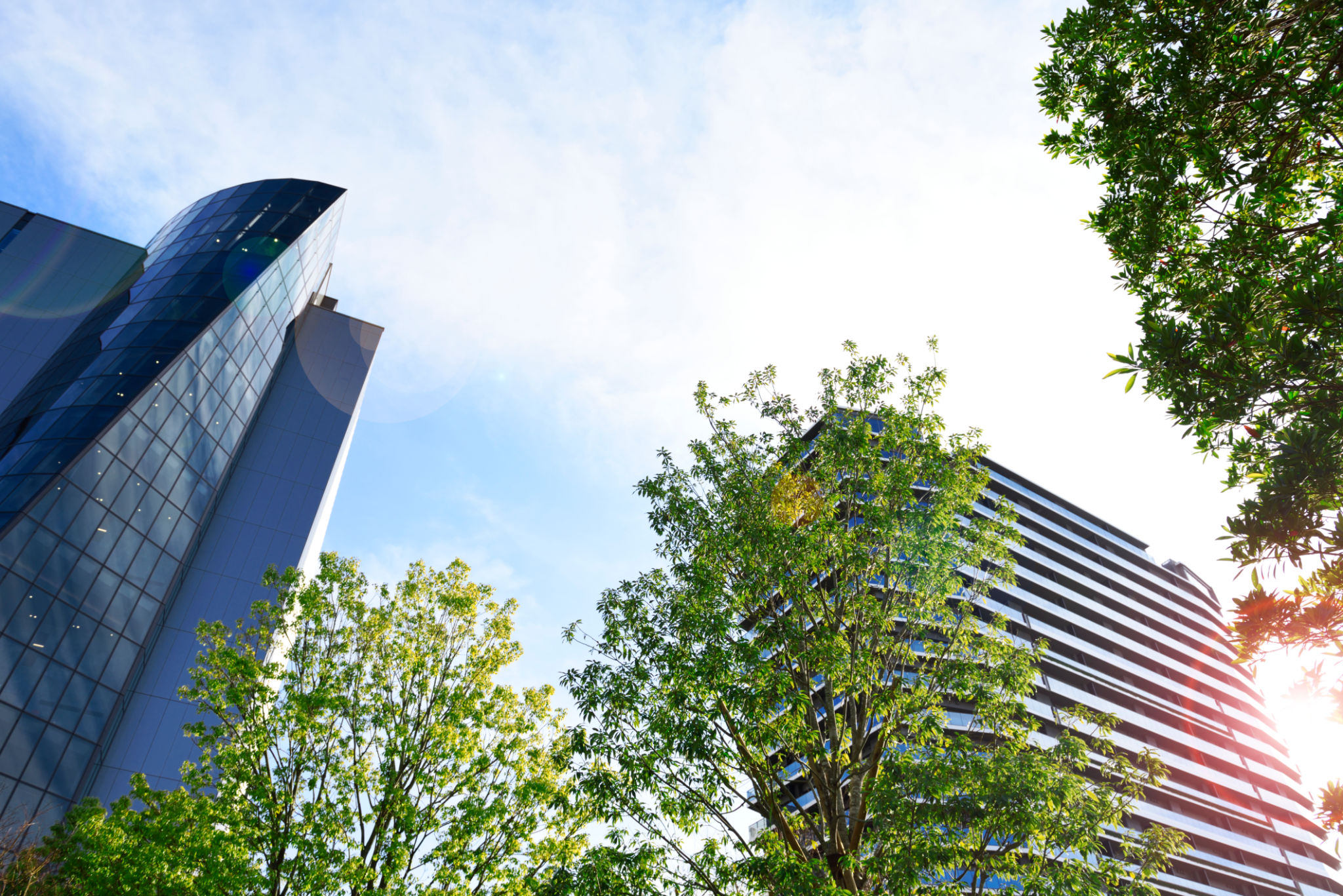environmental liability