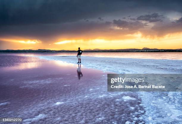 hiker relaxes on pink saltwater lagoon at sunset. - lagoon stock-fotos und bilder