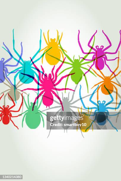 spiders - tarantula stock illustrations