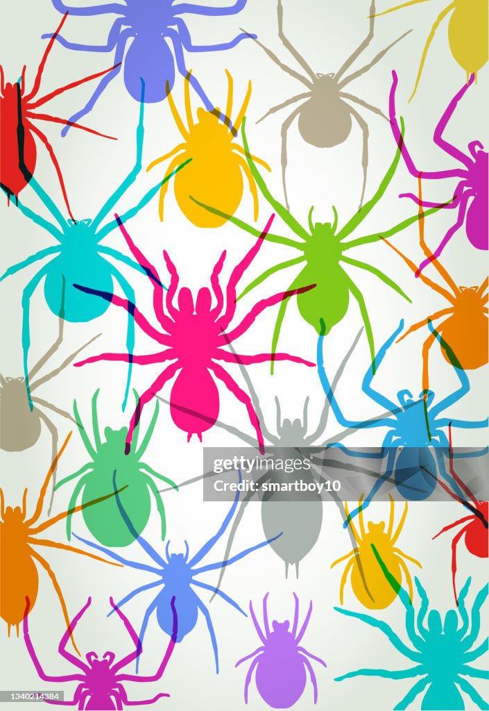 Spiders