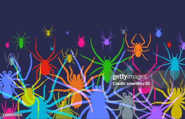 spiders - tarantula stock illustrations