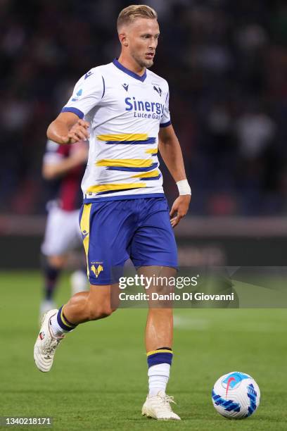 Antonín Barák of Hellas Verona in action during the Serie A match between Bologna FC and Hellas Verona FC at Stadio Renato Dall'Ara on September 13,...